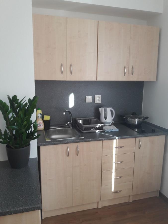 Apartmany Lipa Tábor Esterno foto