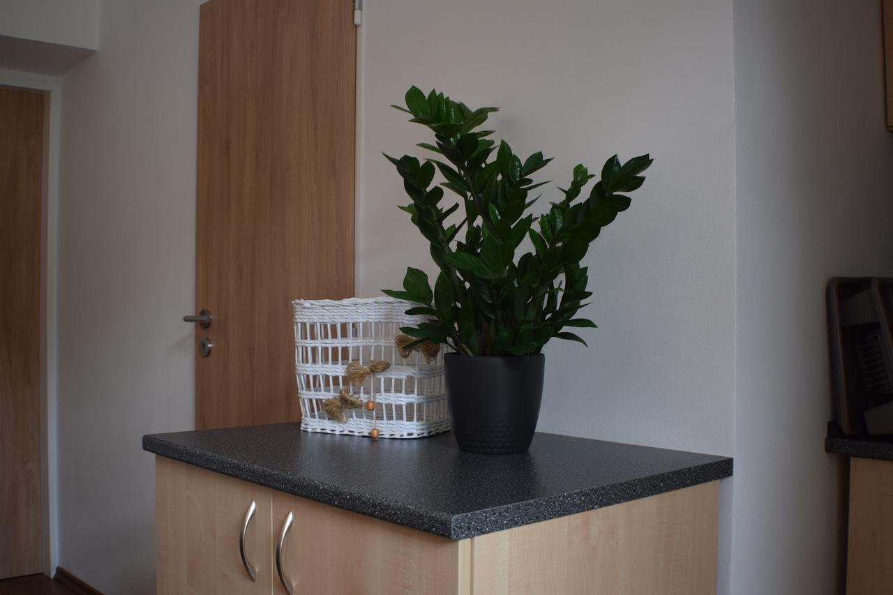 Apartmany Lipa Tábor Esterno foto